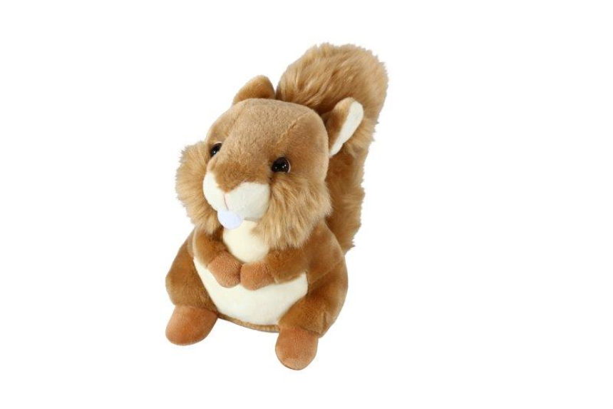 Eichh&amp;#246;rnchen 