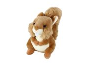 Eichh&amp;#246;rnchen 